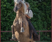 2-13JUIN 0338